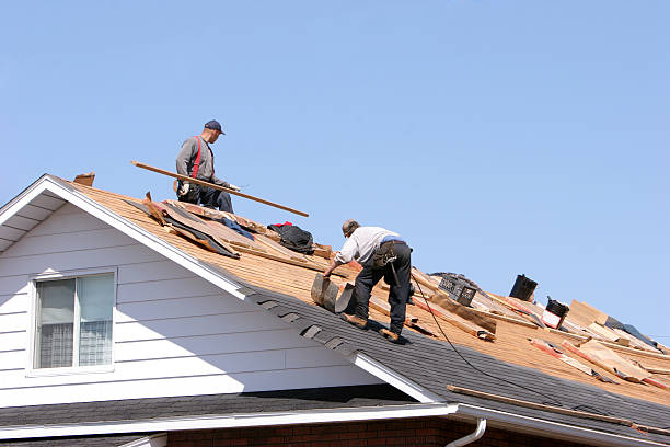 Best Gutter Installation and Repair  in Enterprise, WV
